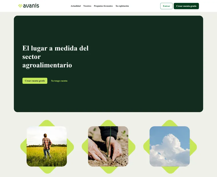 Avanis: Portada