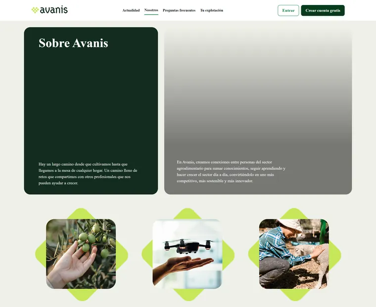 Avanis: Nosotros