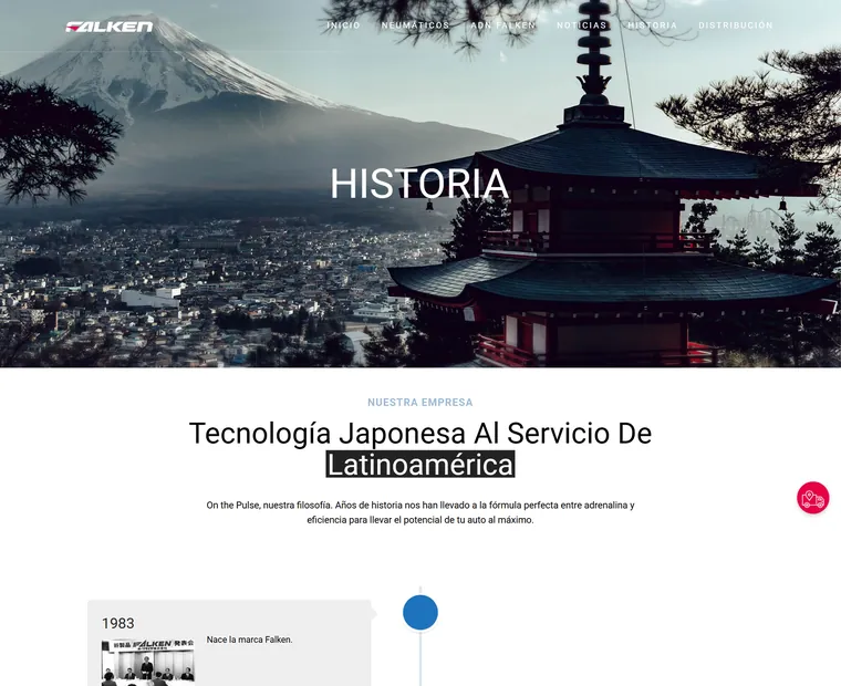 Falken Latinoamérica: Historia