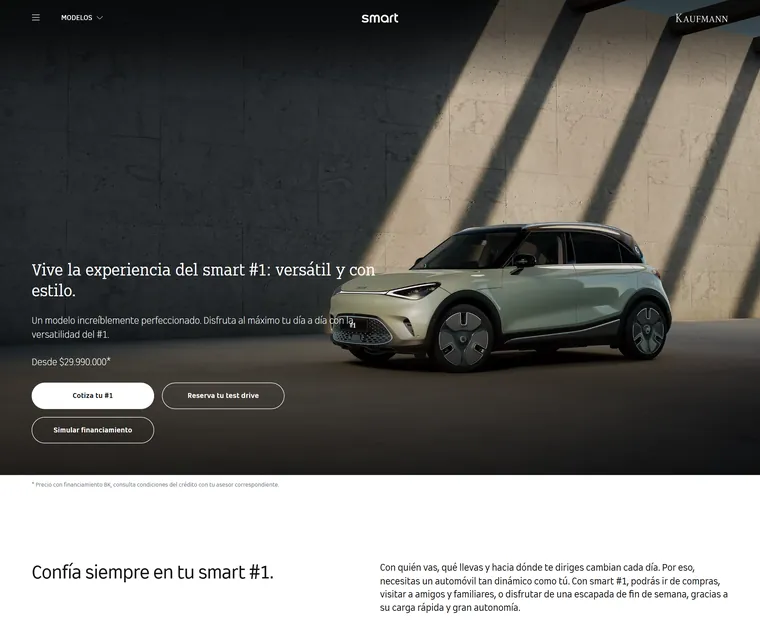 smart: Detalle modelo smart 1